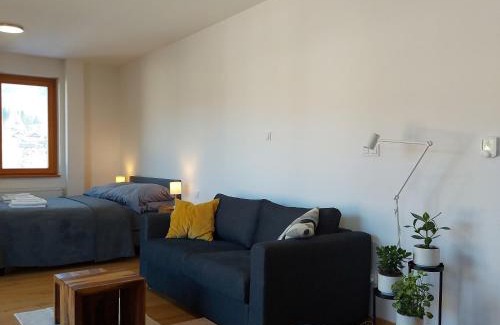 Zelezna Ruda Apartment | Studio Apartman 22, Rezidence Javor