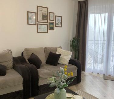 Divcibare Apartment | Studio apartman Verte
