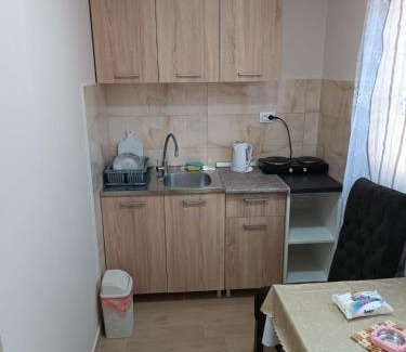 Gornja Trepca Apartment | Studio apartmani Čanović