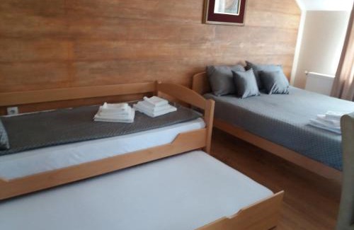 Vrdnik Apartment | Studio apartmani Sofija