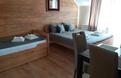 Vrdnik Apartment | Studio apartmani Sofija