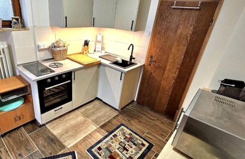 Wolfach Apartment | Studio Apartment 'Ferienwohnung Wyss' with Mountain View, Private Garden and Wi-Fi