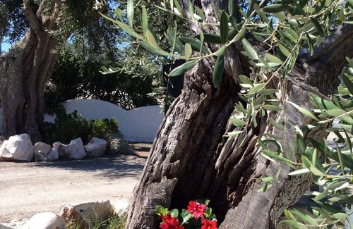 Peschici Condo | STUDIO APARTMENT 2/3 BEDS WITH PANORAMIC VIEW TOWARDS THE SEA