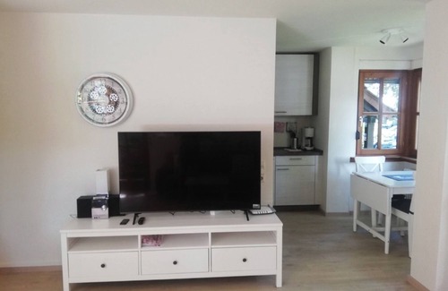 Bad Krozingen Apartment | Studio Apartment '1 Zimmer Appartement 1' with Balcony and Wi-Fi
