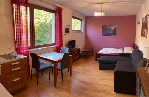 Spindleruv Mlyn Apartment | Studio Apartment Michael