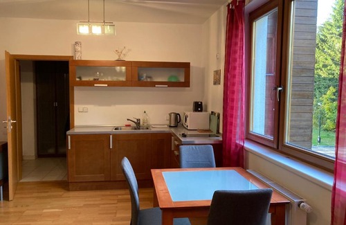 Spindleruv Mlyn Apartment | Studio Apartment Michael