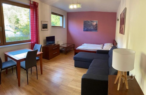Spindleruv Mlyn Apartment | Studio Apartment Michael