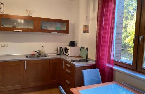 Spindleruv Mlyn Apartment | Studio Apartment Michael