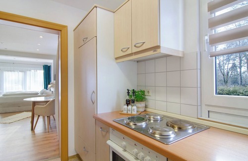 Bad Duerrheim Apartment | Studio Apartment 'No. 1' with Shared Garden and Wi-Fi