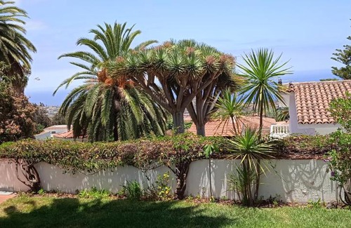 La Orotava Apartment | Studio-Apartment Sabine