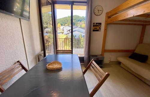 Les Angles Apartment | Studio cabine 21m², 5 pers, balcon, animaux admis, parking, proche commerces - FR-1-758-28