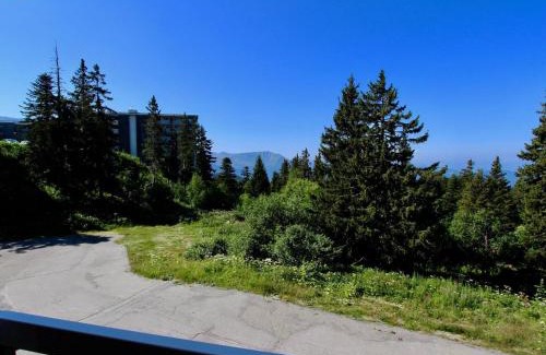 Chamrousse Apartment | Studio cabine 4 pers avec balcon, cuisine équipée, proche pistes et commerces à Chamrousse 1750 - FR-1-340-121