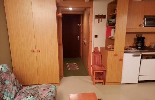 Chamrousse Apartment | Studio cabine avec jardin, 24m², Chamrousse 1650, idéal pour famille, équipements complets - FR-1-340-265