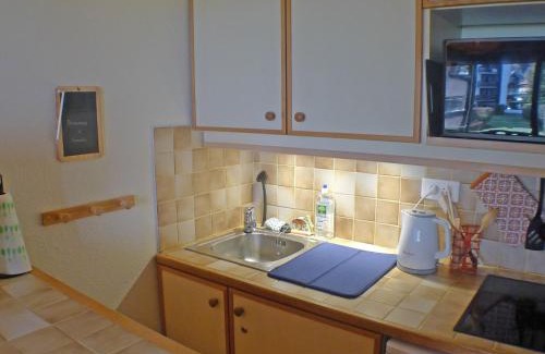 Samoens Apartment | Studio cabine, balcon, internet et animaux admis - FR-1-629-136
