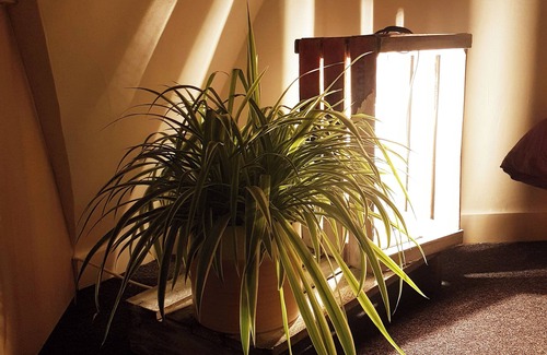Porte-Saint-Martin Apartment | Studio Canal St Martin