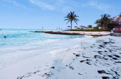 Punta Cancun Apartment | Studio Caribe 17
