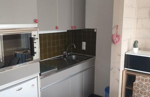 Les Carroz-d'Araches Apartment | Studio chaleureux, balcon sud, 4 pers., proche centre et pistes - Les Carroz - FR-1-572-218