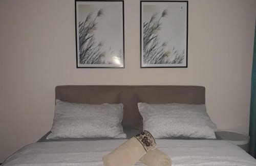 Jagodina Apartment | Studio City day