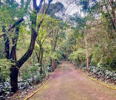 Jardim Europa Apartment | Studio Completo Super Aconchegante