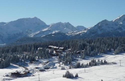 Les Saisies Apartment | Studio confort 3 pers, balcon sud, Les Saisies - FR-1-293-3