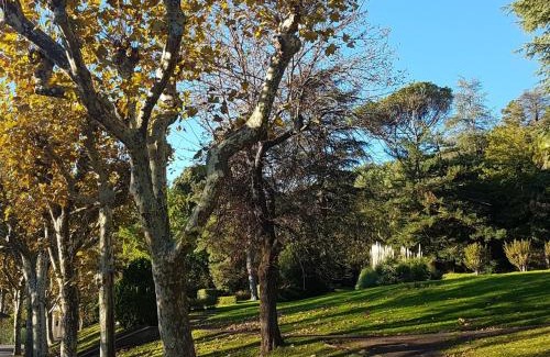 Lamalou-les-Bains Apartment | Studio cosy à 50m des Thermes de Lamalou-les-Bains avec terrasse, wifi et animaux acceptés - FR-1-451-46