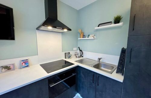 Saligny Apartment | Studio Cosy à Bellevigny