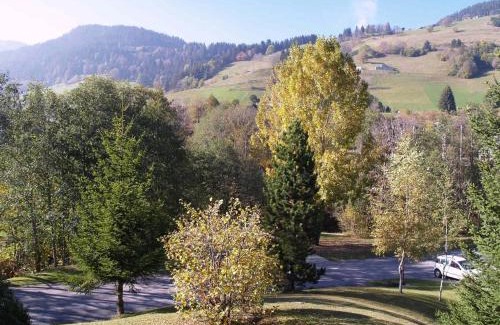 Megeve Apartment | Studio cosy à Megève - Piscine, Tennis, Animaux Acceptés, Proche Centre - FR-1-453-116