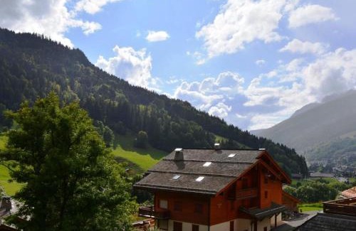 Le Grand-Bornand Apartment | Studio cosy avec terrasse sud, proche navettes, Le Grand-Bornand - FR-1-241-51