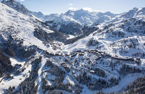 Meribel-Mottaret Apartment | STUDIO DANS UNE RESIDENCE CALME AVEC PARKING PRIVATIF - FR-1-182-43