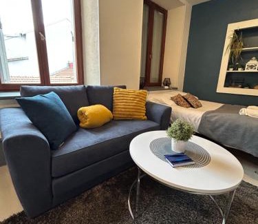 Montbeliard Apartment | Studio de 30m² hypercentre très calme
