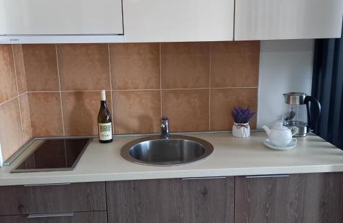 Vrnjacka Banja Apartment | Studio Diamondlux Vrnjačka Banja