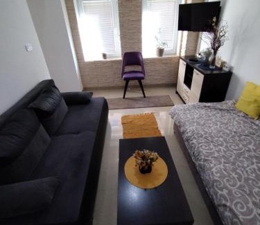 Kragujevac Apartment | Studio F100