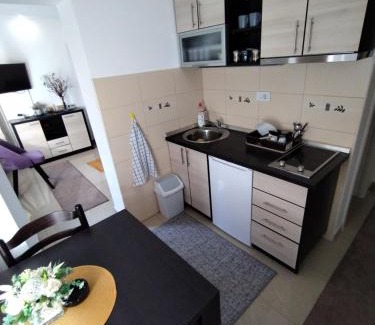 Kragujevac Apartment | Studio F100
