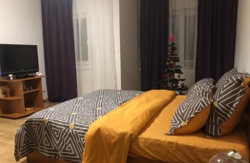 Craiova Apartment | Studio in Craiova