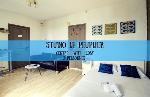 Faubourg North Apartment | STUDIO LE PEUPLIER