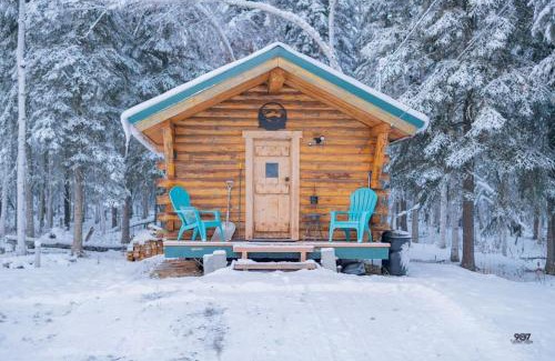 Fairbanks House | Studio Log DRY Cabin| Aurora Views!