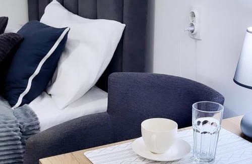 Vrnjacka Banja Apartment | Studio Milica