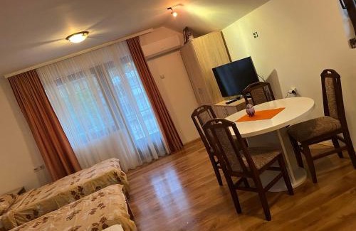 Soko Banja Apartment | Studio Milisavljevic