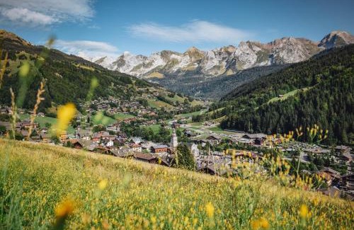 Le Grand-Bornand Apartment | Studio Montagnard Chaleureux avec Accès Bien-être, Proche Pistes et Navette Gratuite - FR-1-467-29