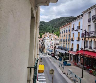 Amelie-les-Bains-Palalda Apartment | Studio N1 Appartement Hotel Combes