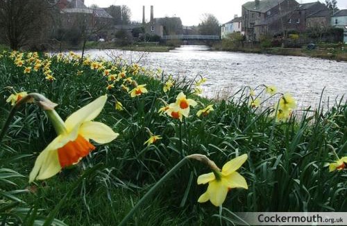 Cockermouth Apartment | Studio No5, Cockermouth The Lakes