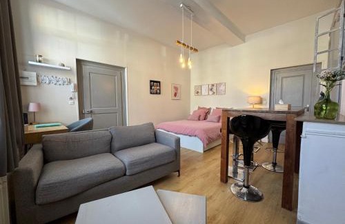Saint-Omer Apartment | Studio Papillon en plein cœur de ville