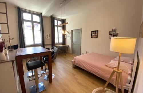 Saint-Omer Apartment | Studio Papillon en plein cœur de ville