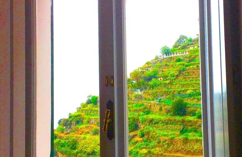 Manarola Apartment | Studio - Room With Amazing Seaview Dolphin