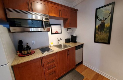 Piedmont Condo | Studio Rustico Chic Nearby Piedmont's Hotspots!