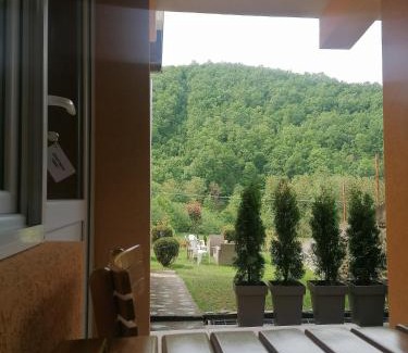 Ribarska Banja Apartment | Studio sa francuskim i pomoćnim ležajem - Romansa