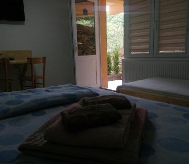 Ribarska Banja Apartment | Studio sa francuskim i pomoćnim ležajem - Romansa
