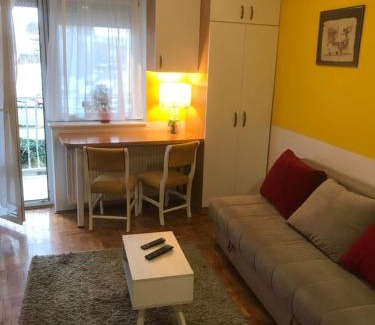 Novi Sad Apartment | Studio Tina sajam FREE parking