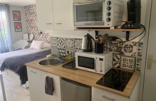 Dax Apartment | Studio touristes curistes , jardin terrasse