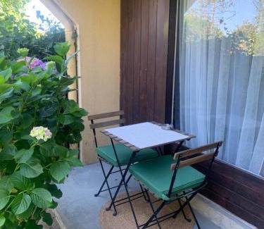Dax Apartment | Studio touristes curistes , jardin terrasse
